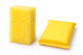 Bug Sponges & Block