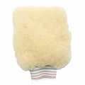Wash Mitts